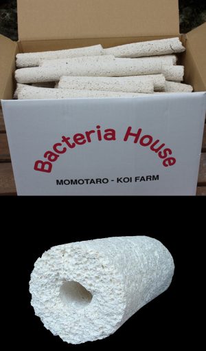 Momotaro Bakki House Media. 22 LBS