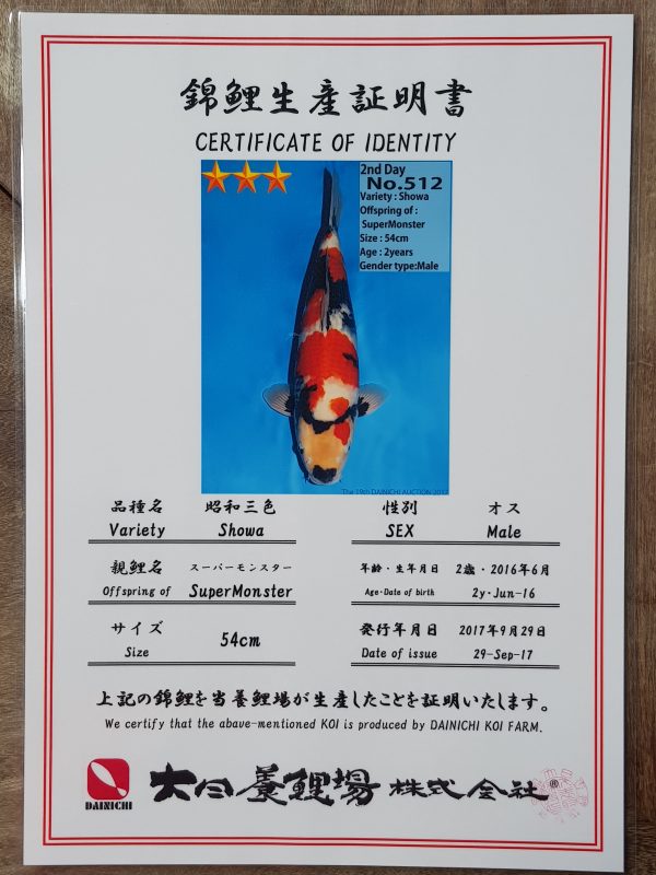 Showa - Image 2