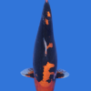 Beni Kumonryu