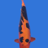 Beni Kumonryu