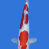 Doitsu Kohaku