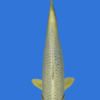 Mukashi Ogon