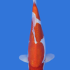 Doitsu Kohaku