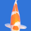 Goromo