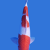 Kohaku